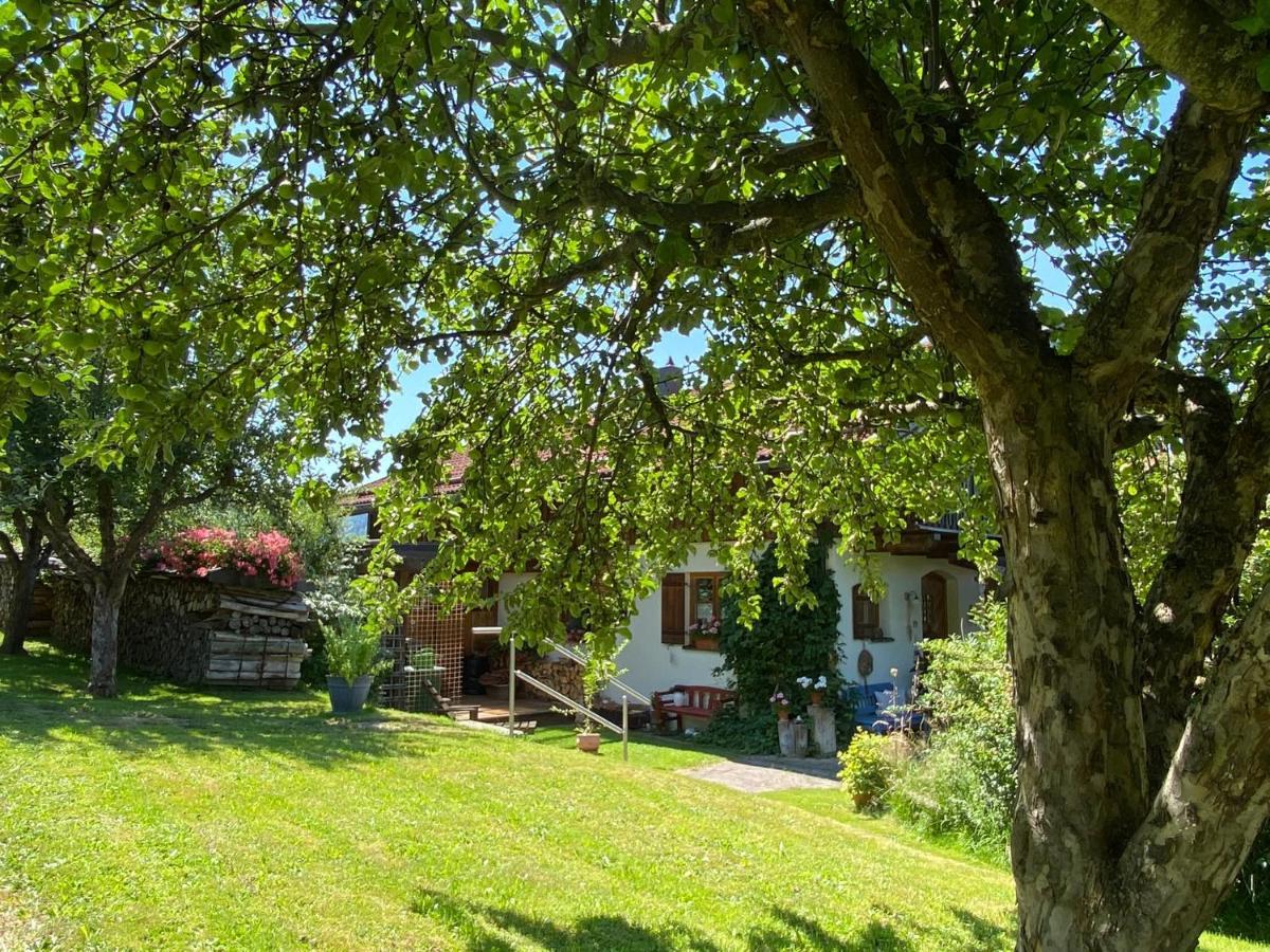 Haus Wiesengrund Frauenau Zewnętrze zdjęcie
